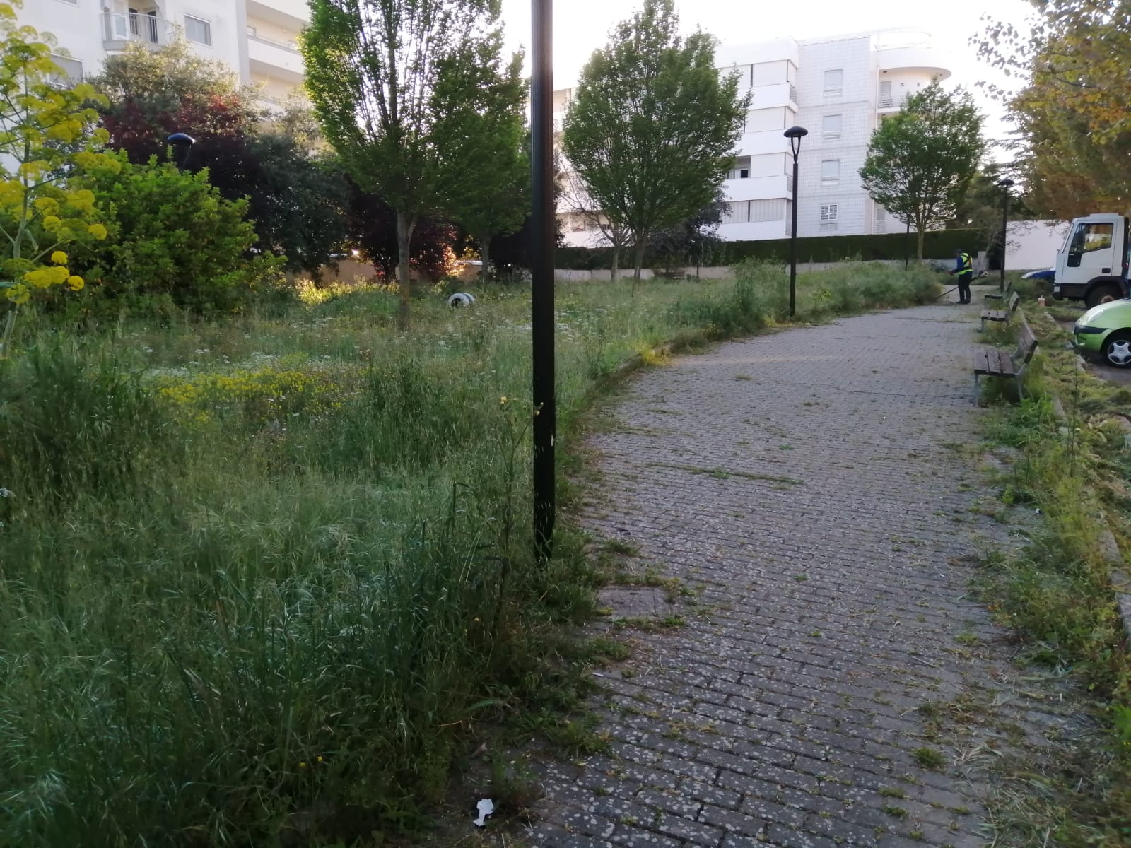 Completati interventi di manutenzione straordinaria sulle strade extraurbane. In corso anche la manutenzione a tappeto del verde pubblico