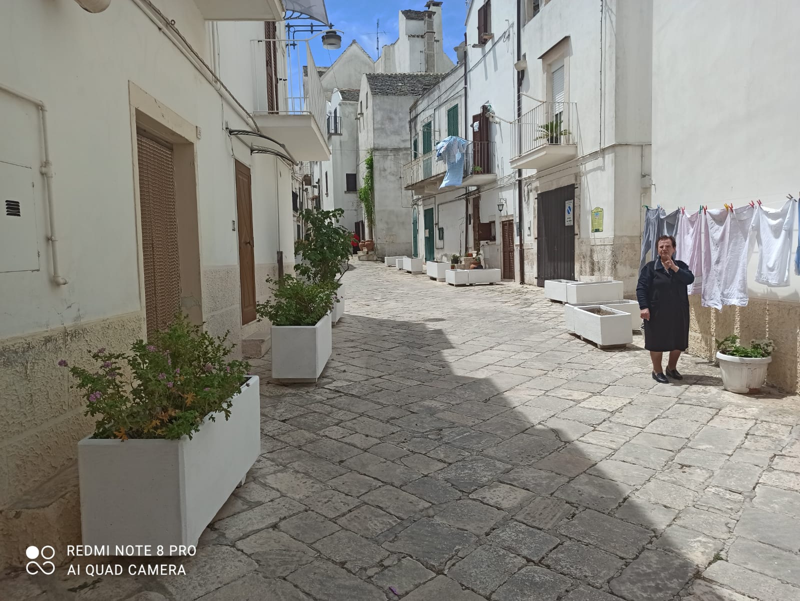 EDÈNOCI: un giardino sociale diffuso nel cuore del centro storico. Nuove fioriere in via Pozzo Epifani per un progetto di cittadinanza attiva